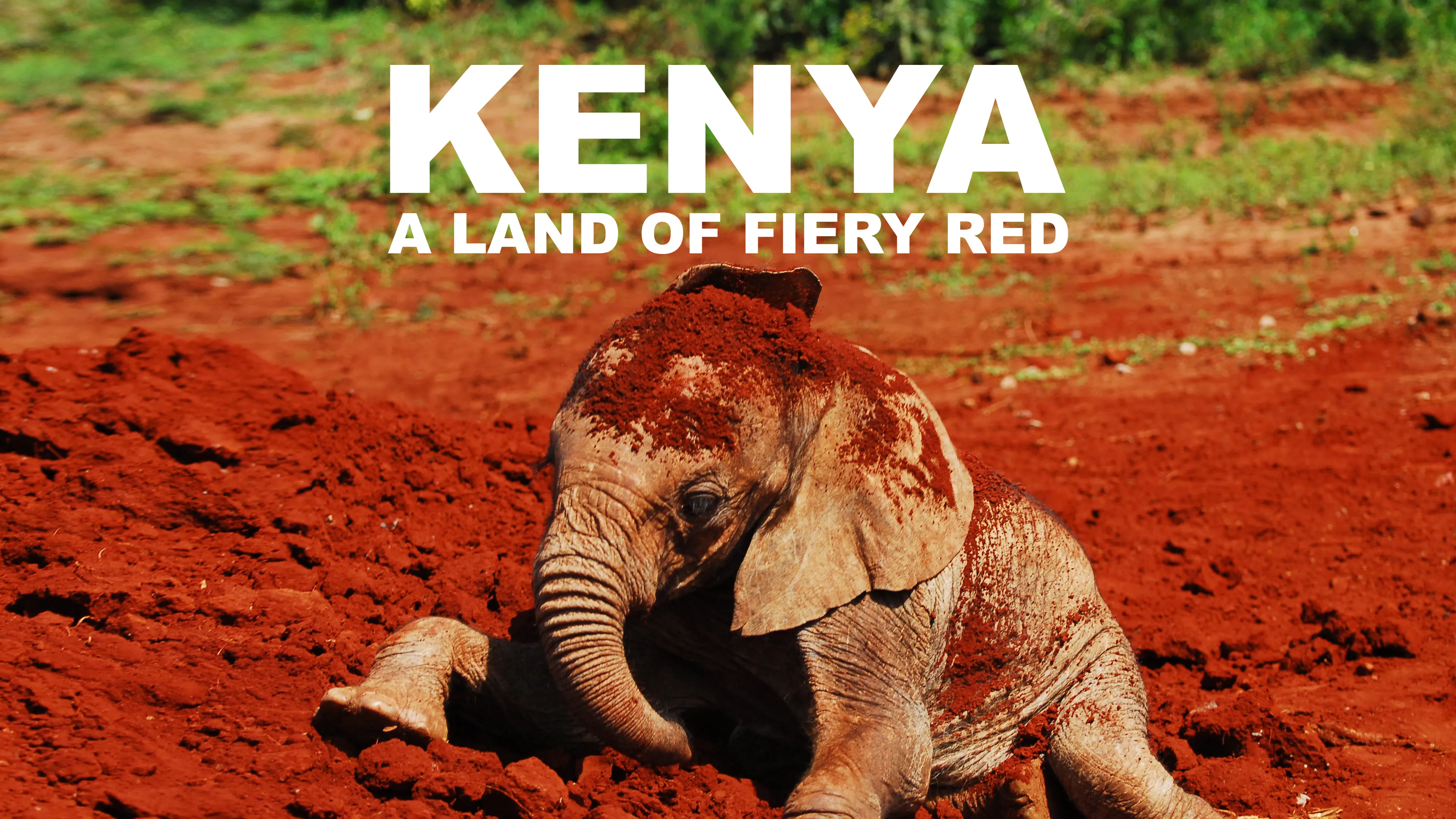 Kenya: A Land of Fiery Red poster